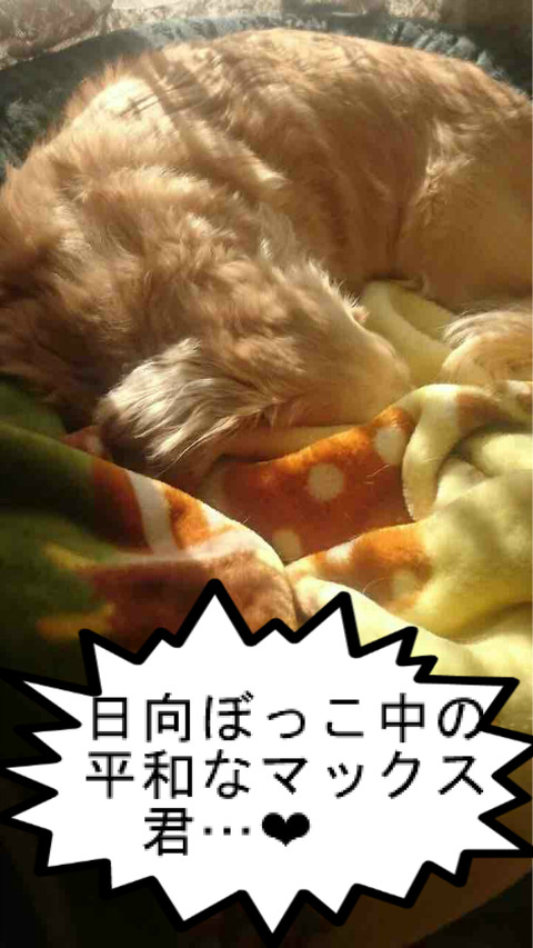 BlogPaint
