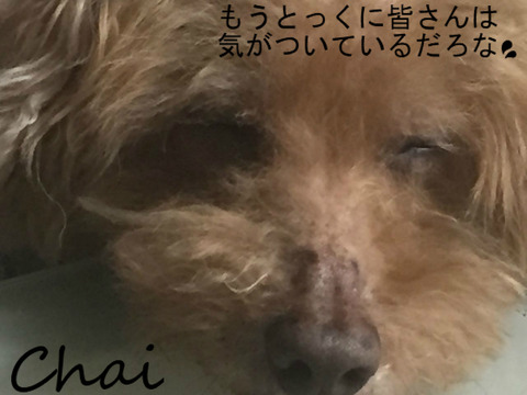 BlogPaint