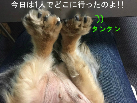 BlogPaint