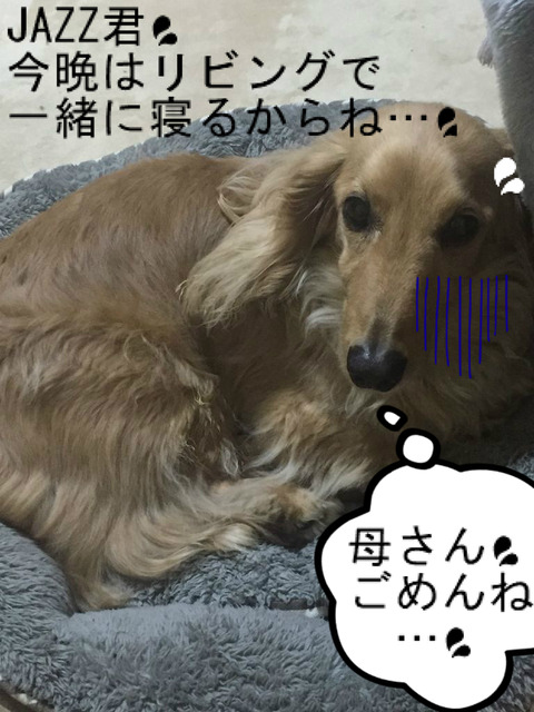 BlogPaint