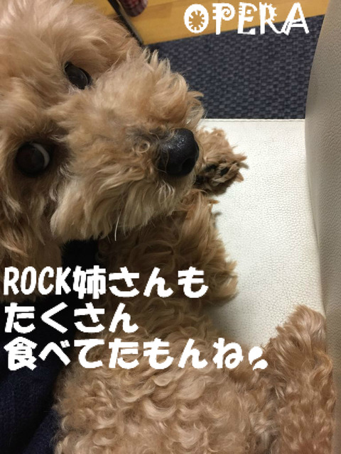 BlogPaint