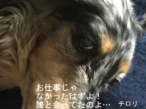 BlogPaint