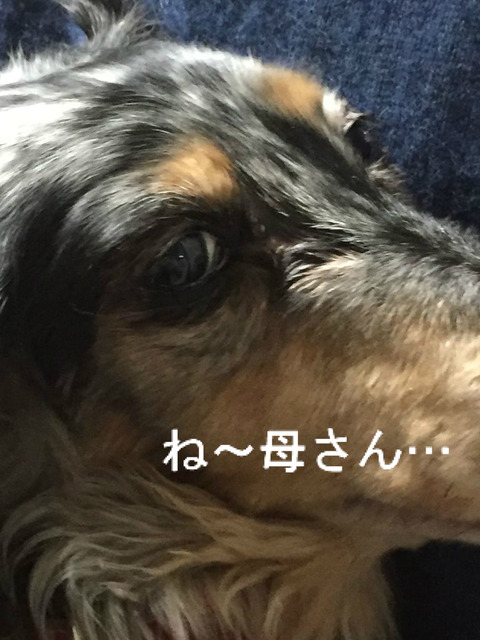 BlogPaint