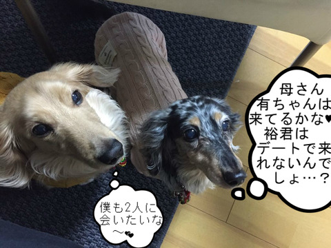 BlogPaint