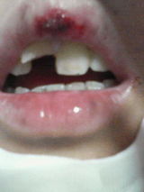 258318b3.jpg