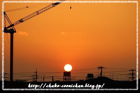 IMG_12491