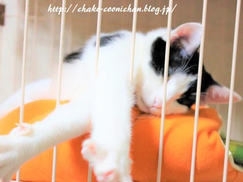 IMG_9977a1 (2)1