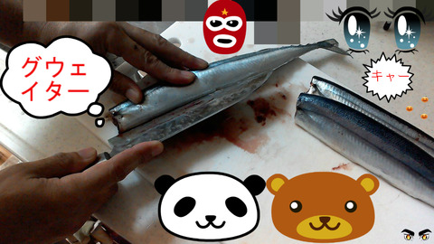 BlogPaint