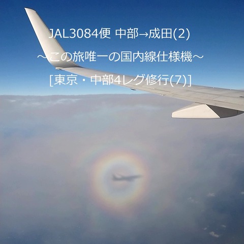 20190117_152057445 (2)