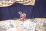 �Τ��ޣ���