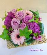 IMGP6202b