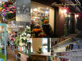 shop