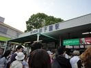 koshien6
