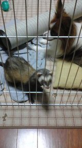 いっしょだよ