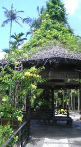 東洋植物楽園