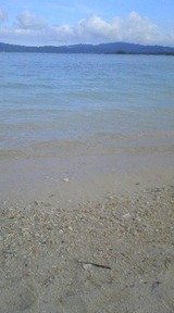 海