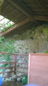 岩の壁