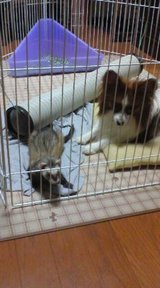正面