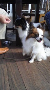 ノア&フィオ横