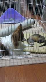 疲れた