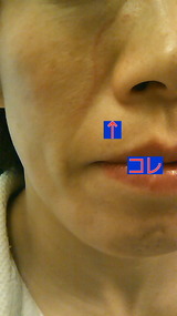 f7717bb1.jpg