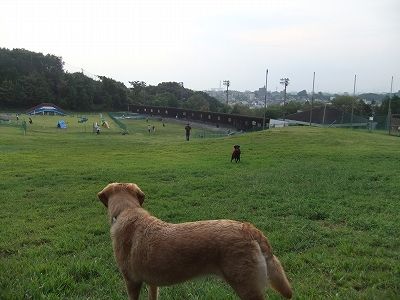 DSCF3075