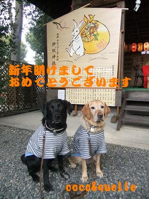 DSCF5204