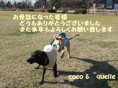 DSCF8822