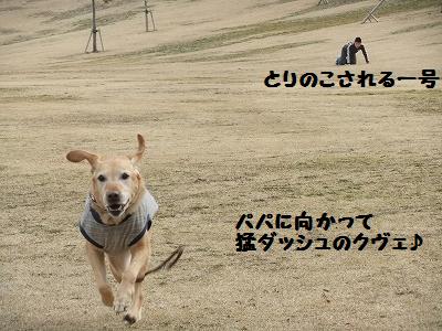 DSCF5501