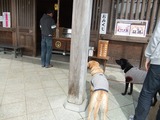 DSCF5441