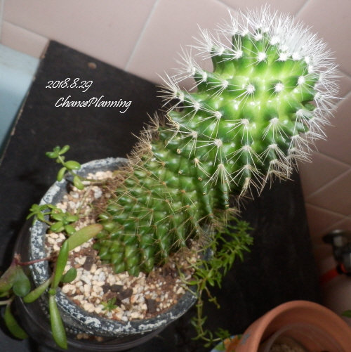 2018.8.29g1