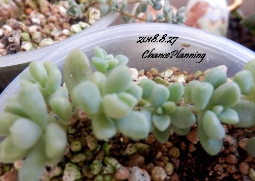 2018.8.27d