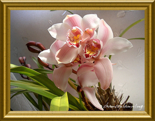 2010.2.21