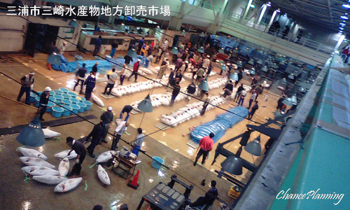 三浦市三崎水産物地方卸売市場