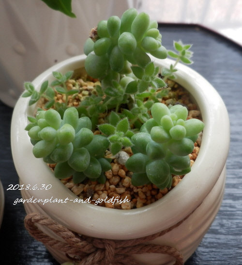 2018.6.30g3