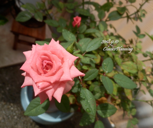 2018.9.10g3