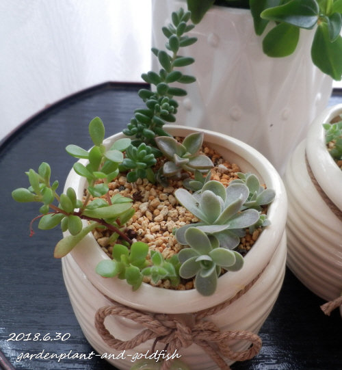 2018.6.30g2