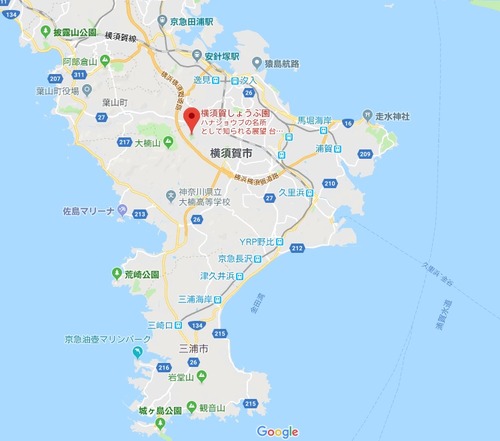 横須賀しょうぶ園