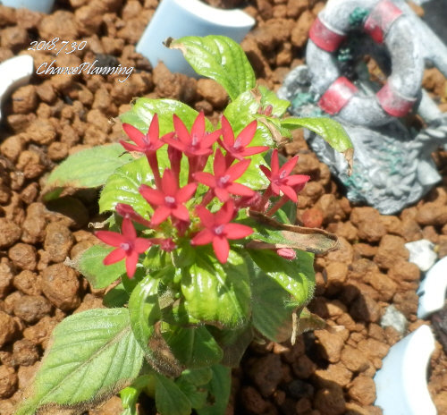 2018.7.30g5