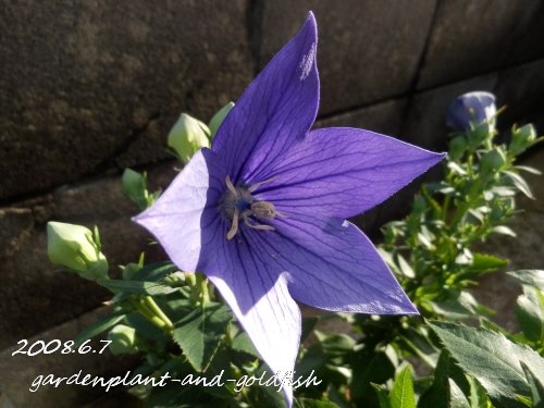 2018.6.7g8