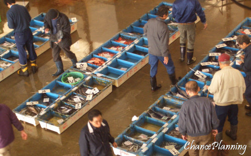 魚市場地魚