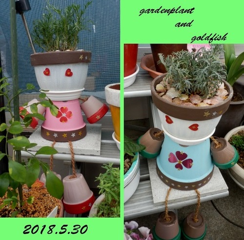 2018.5.30ga