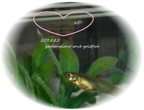 2018.8.5baby2