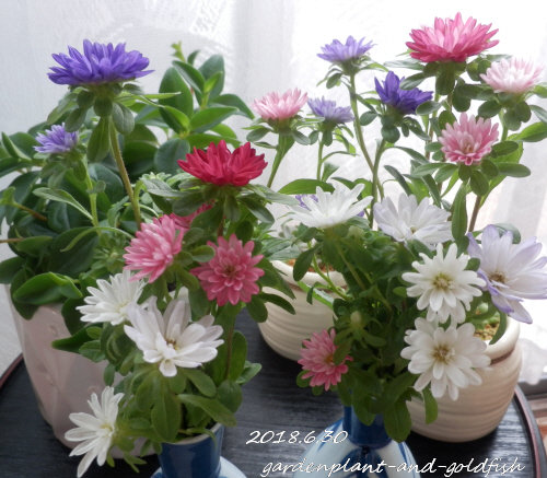 2018.6.30g1