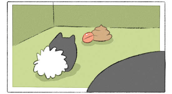 07