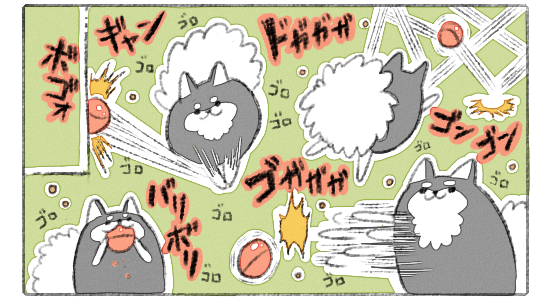 04