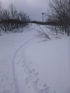 P1040015