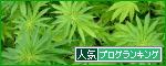Ëã¥é¥ó¥¥ó¥°¥Ð¥Ê¡¼br_decobanner_20101004021631