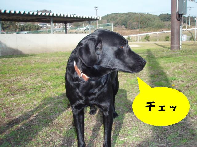 ちぇっ