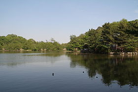 280px-Nerima_Syakujii_park_sampoji_pond
